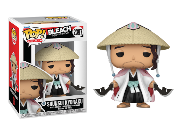 Bleach - Shuns Kyoraku